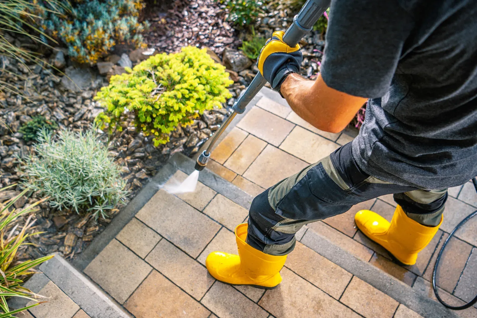 Overhead view of pressure washing a paver walkway along a garden bed