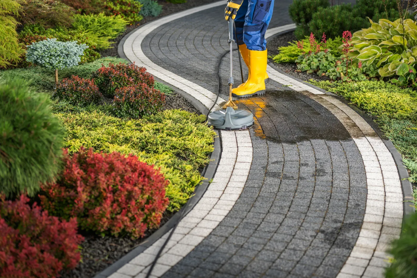 Rotary surface cleaner restoring a curved paver garden path — pressure washing by AquaFly Exterior Home Care in Forney, TX